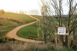 The Gentlemen's Club 2025 Christmas Lunch